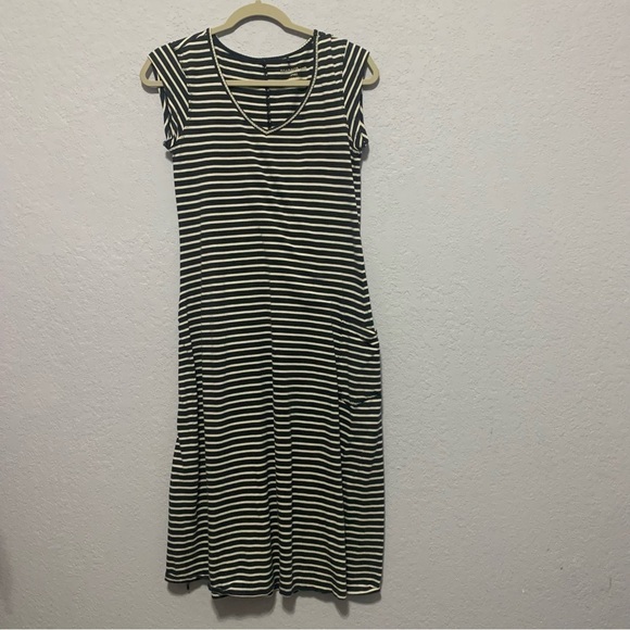 Toad&Co Muse Stripe Cap Sleeve Pocket Adjustable Side Organic Cotton Midi Dress - Picture 1 of 7